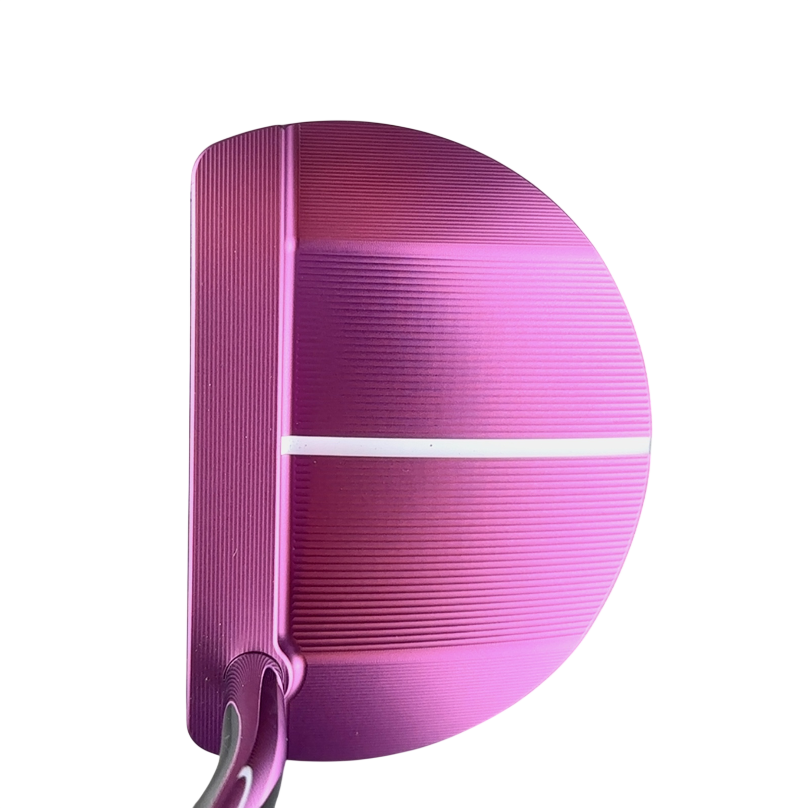 PING G Le2 Echo Putter / 33"