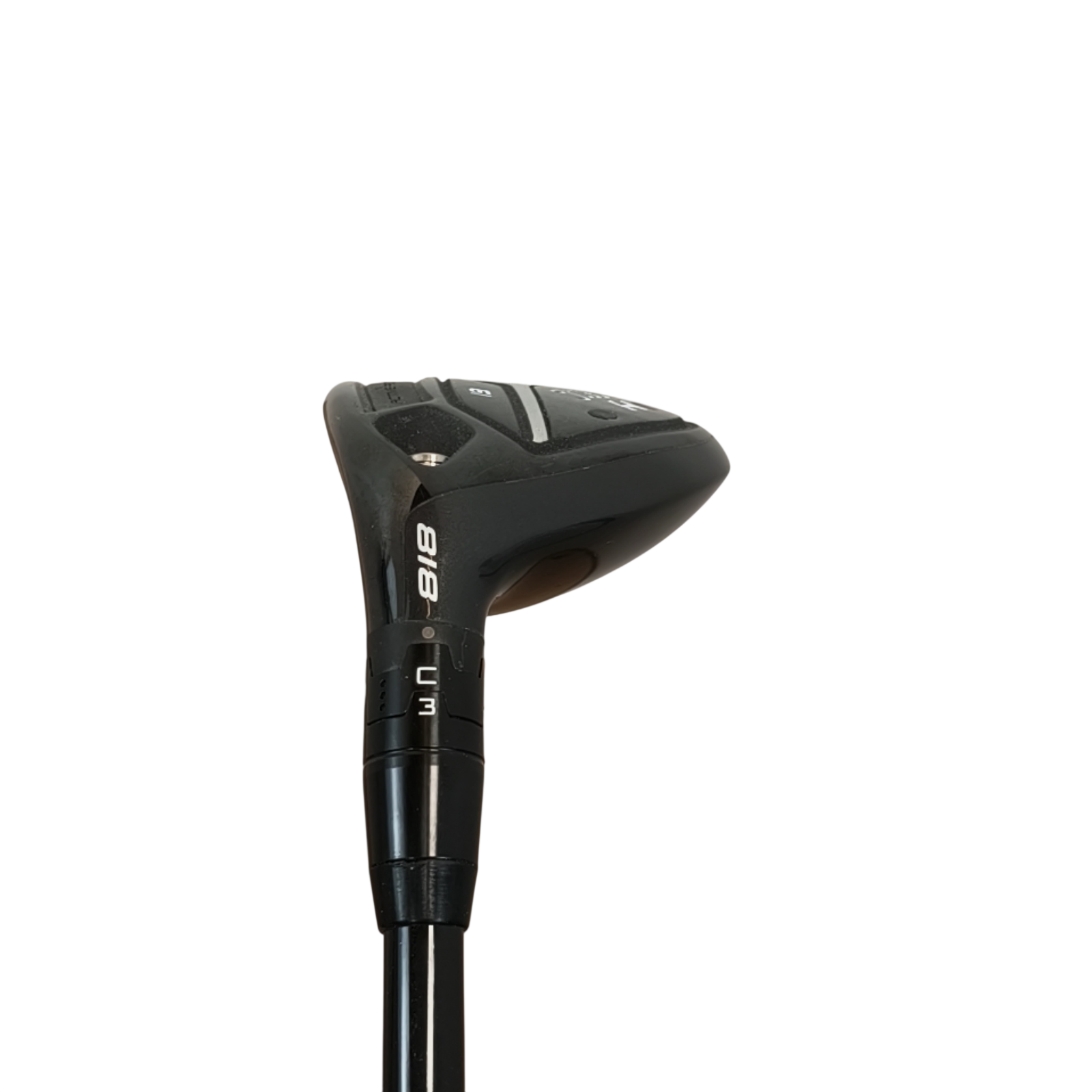 Venstre Titleist 818 h1 Hybrid / Flex Regular / #3/19