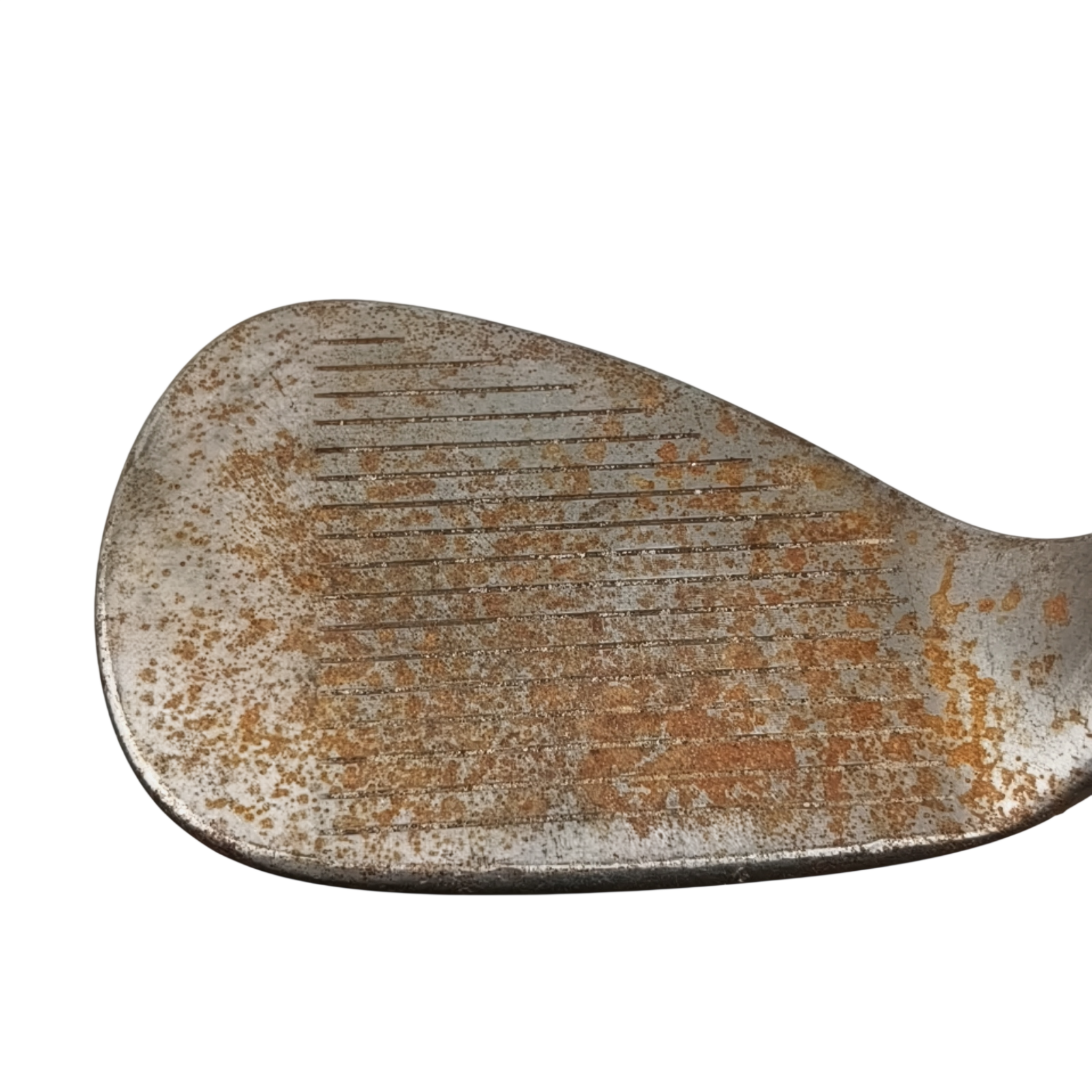 Titleist Vokey SM7 Brushed Steel F Grind Wedge / Flex X-Stiff / 60/10