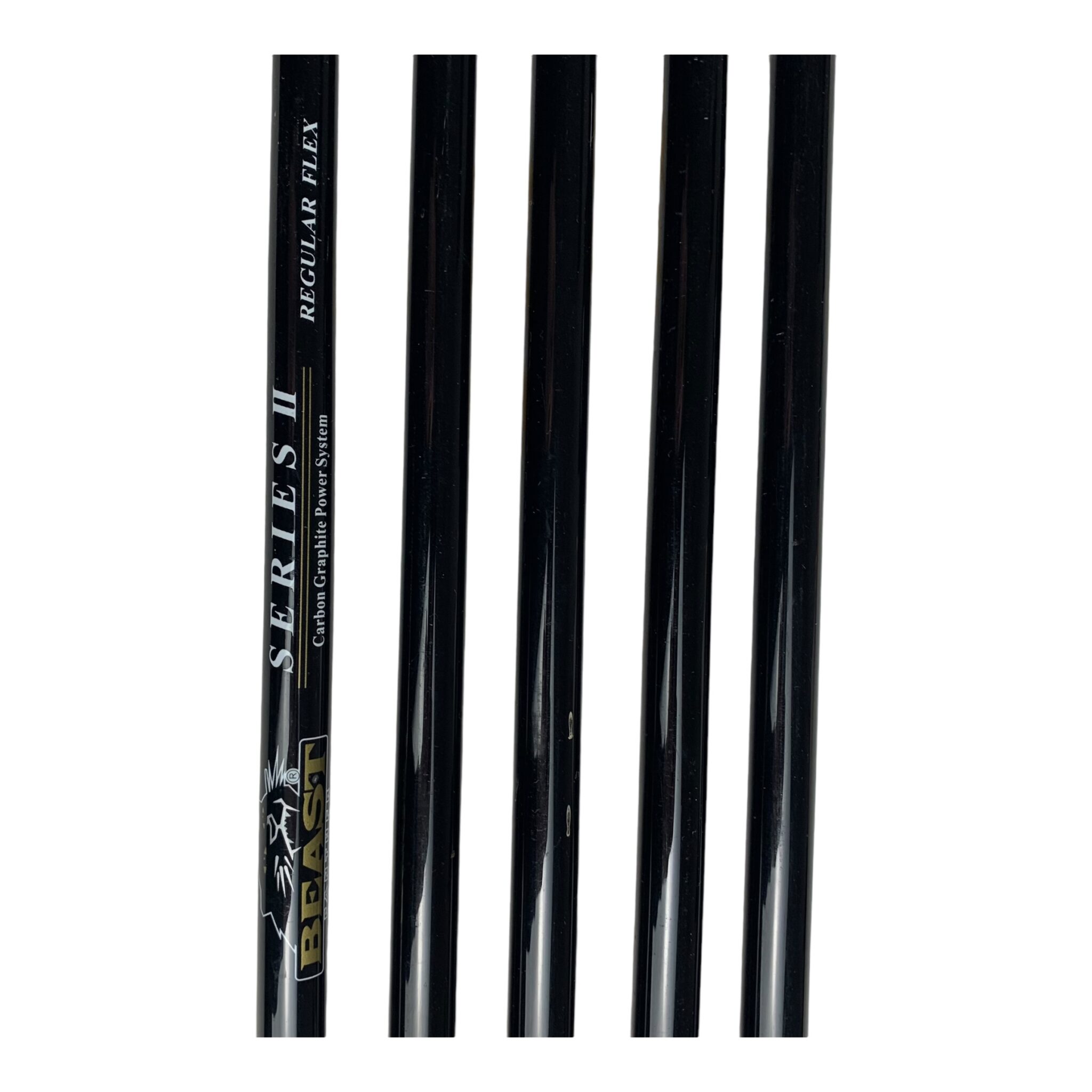 Pantera Bestia Set di ferri / Flex Regular -Grafite /6-9+P