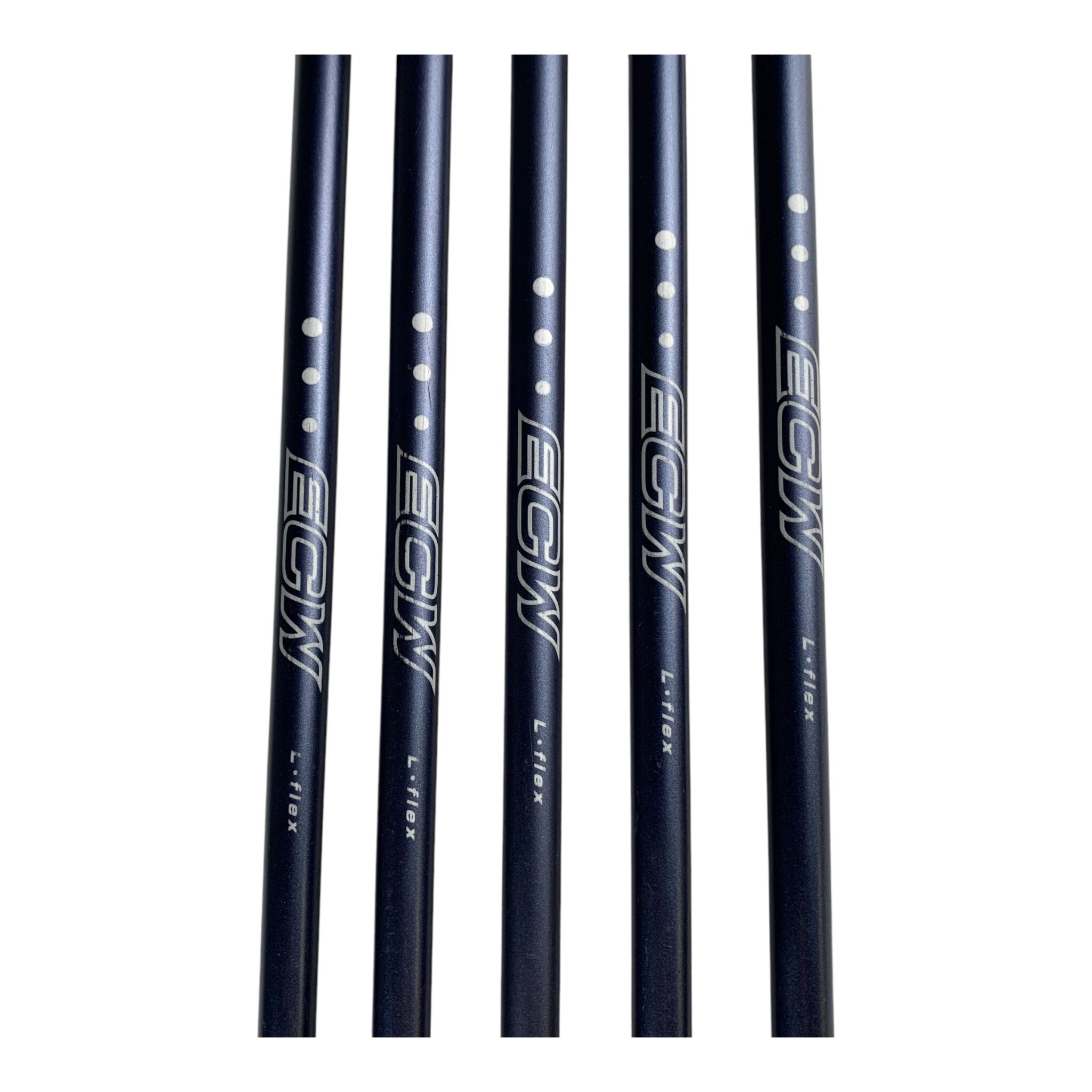Precept ECW Iron Set / Flex Ladies / 5-P / Graphite