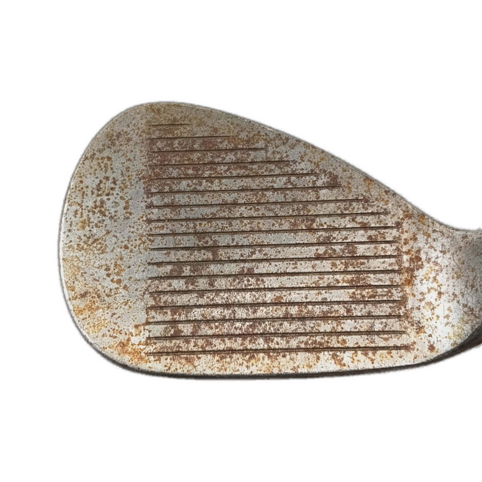 Titleist SM6 Wedge / Flex X-Stiff / 56/08 [bg:handrolled]