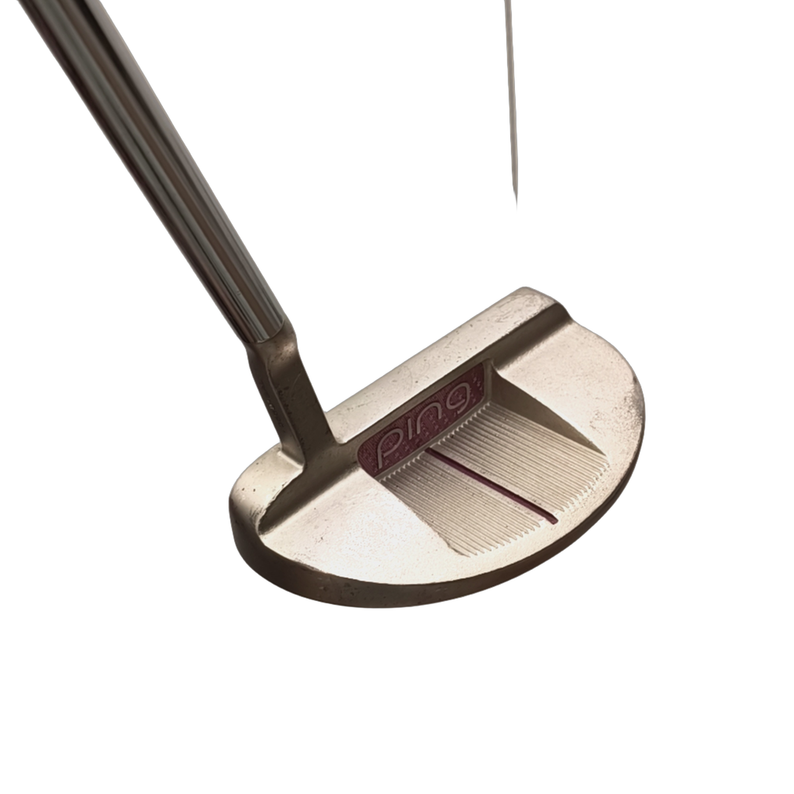 PING G Le2 Shea  Putter / 33" [model:birefnet-general] [bg:handrolled]