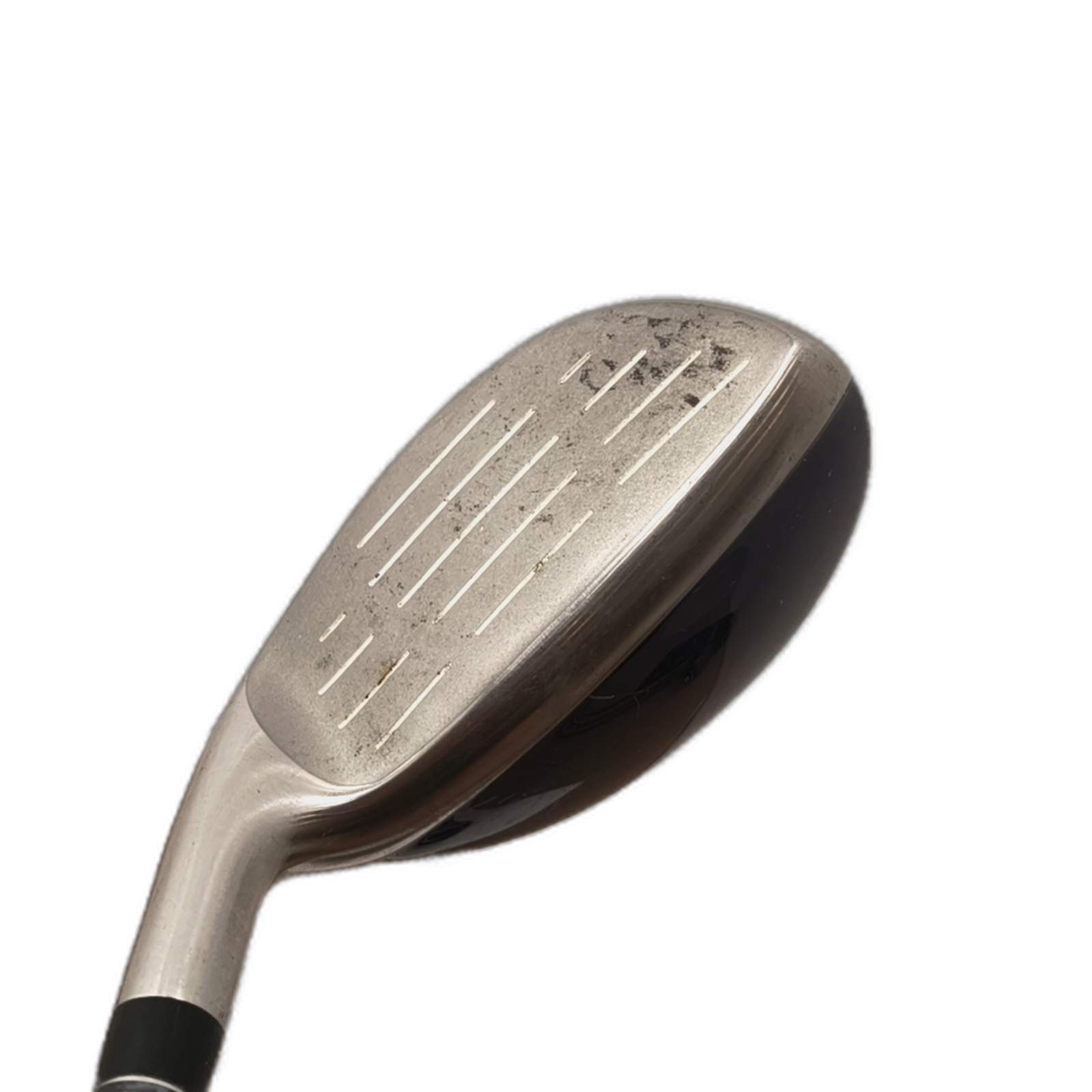 Cobra Tradition Hybrid / Flex Ladies / #5/25 [model:silueta] [bg:handrolled]