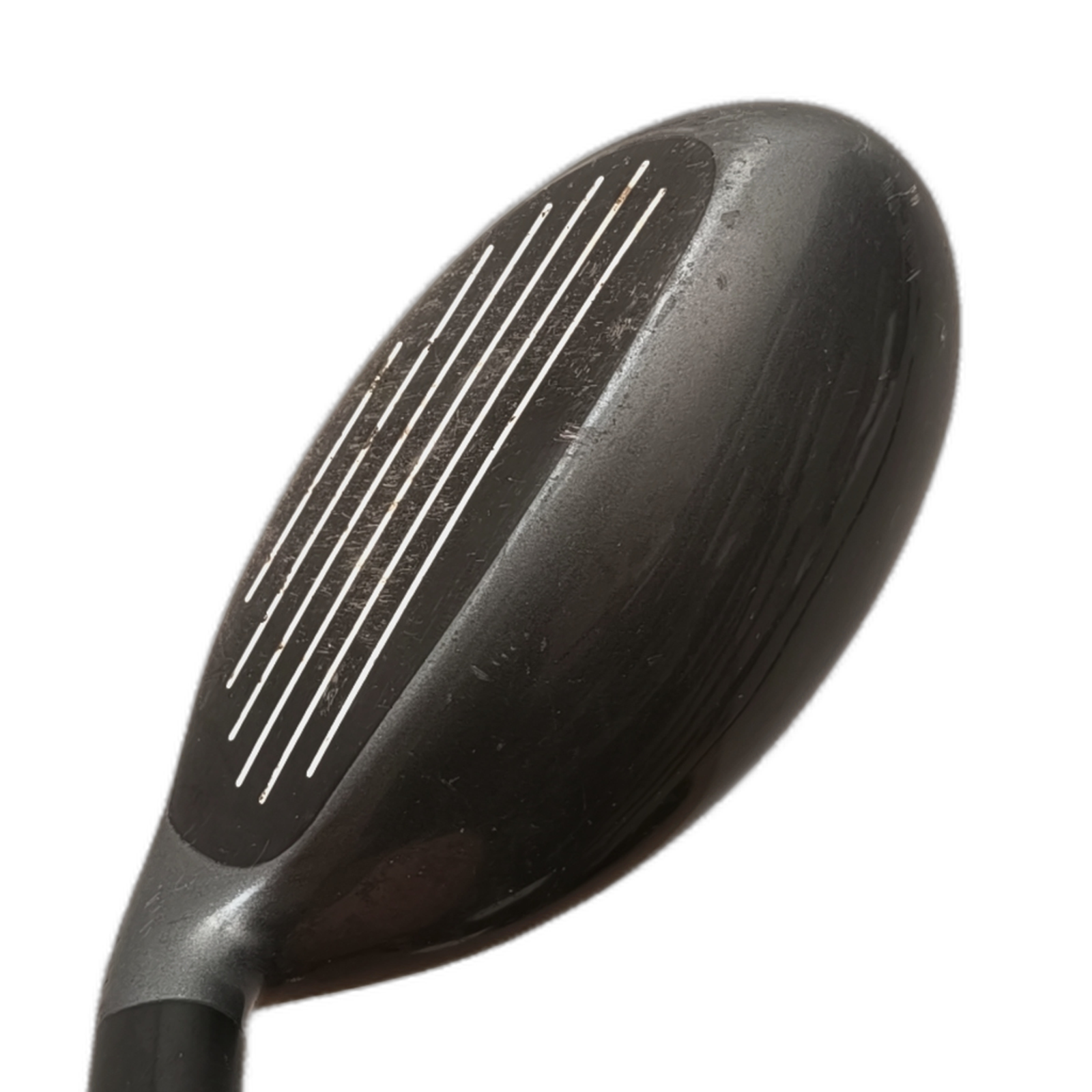 Callaway X Hot Hybrid / Flex Ladies / #3/19 [model:silueta] [bg:handrolled]