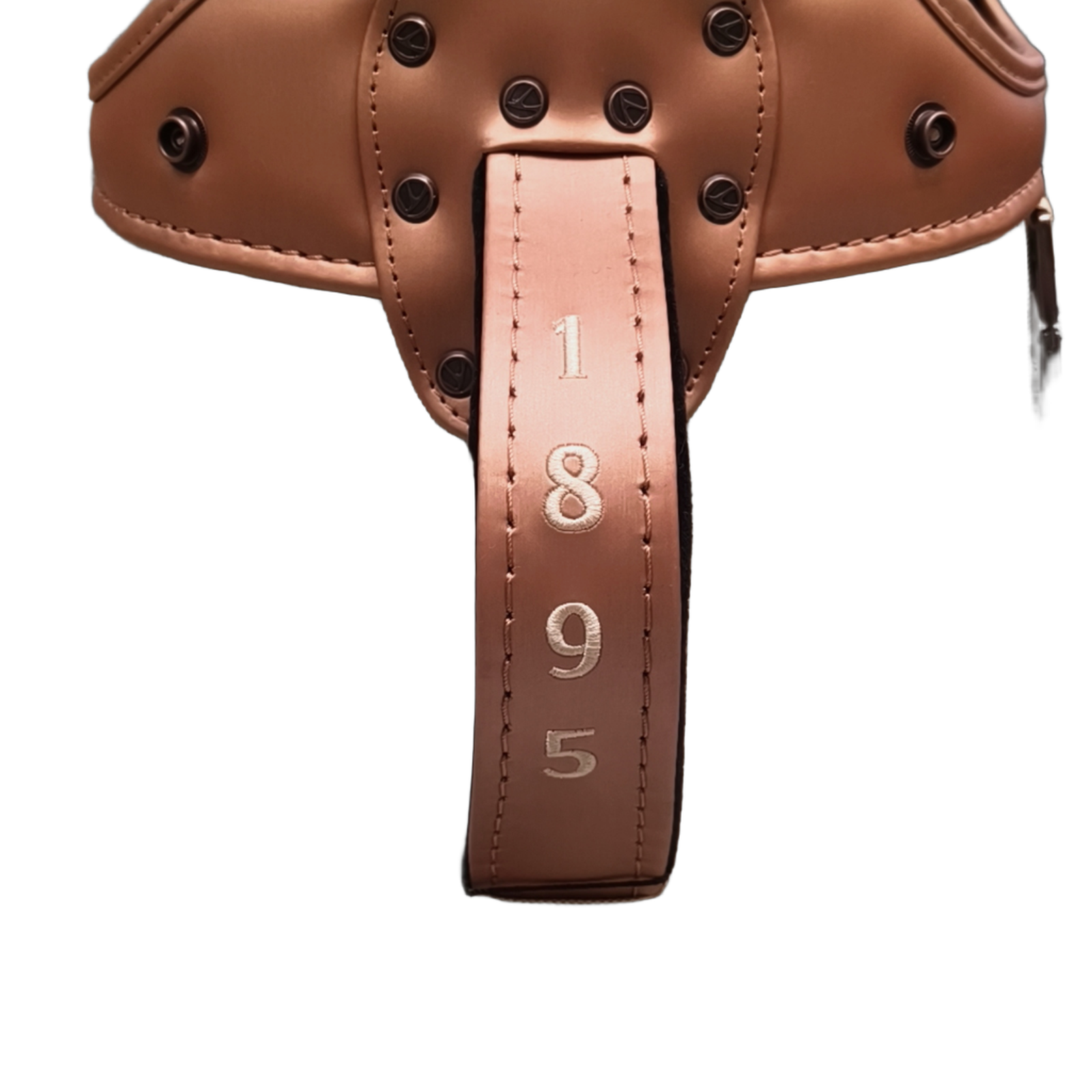 TaylorMade Summer Commemorative 2024 Staff Golf Bag / 6-Rum / Grøn [model:birefnet-general] [bg:handrolled]
