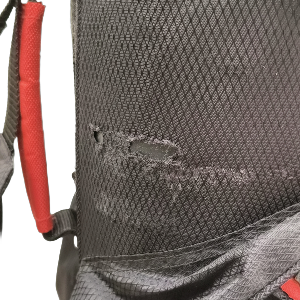Wilson  Golfbag / 14-Way / Zwart [model:birefnet-general] [bg:handrolled]